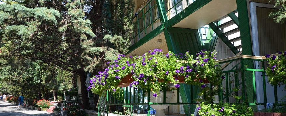 АЛЫЕ ПАРУСА, пансионат (Солнечногорское) - 3