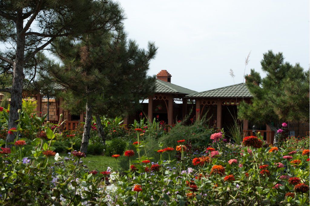 ОЗЕРО СНОВИДЕНИЙ, пансионат - 8