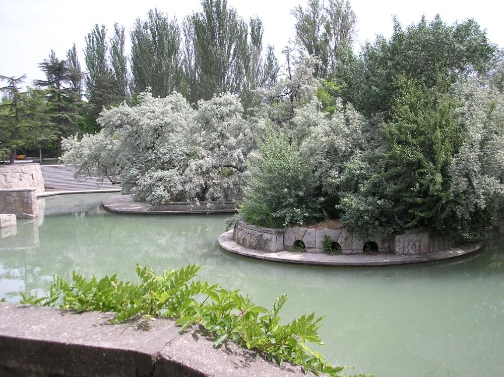 СУДАК, ТОК (дети от 4 лет) - 14