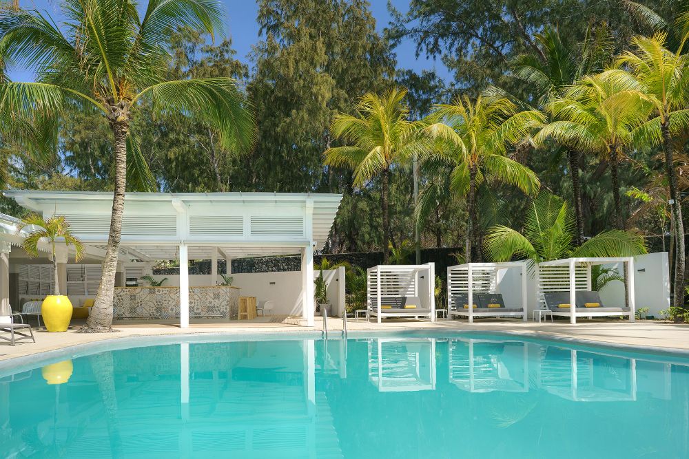 TROPICAL ATTITUDE (only adults 18) - 5