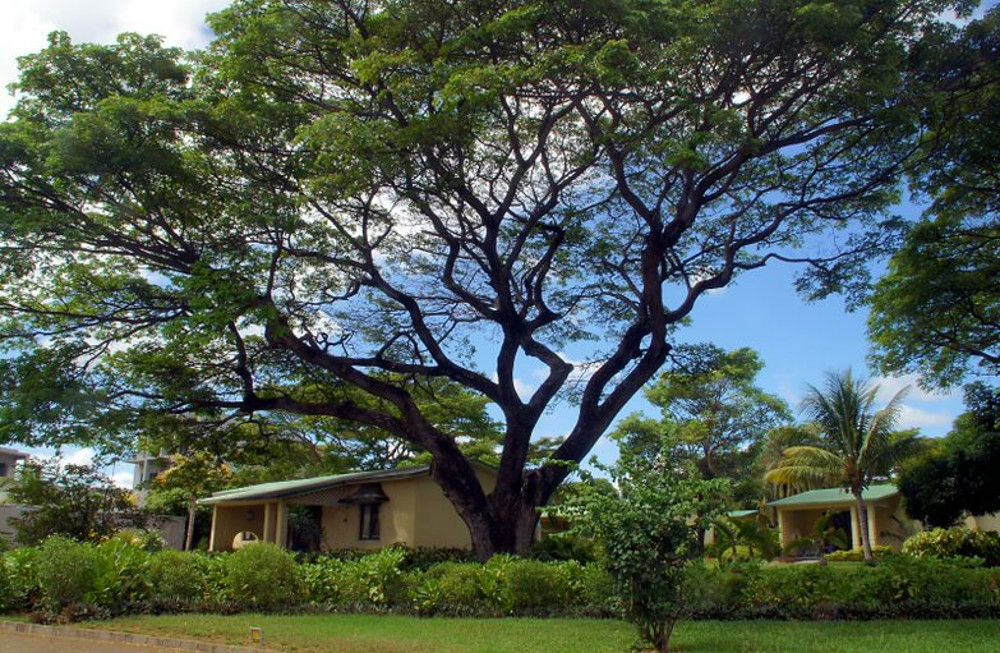 ANELIA RESORT & SPA - 12