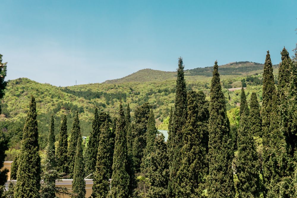 УСАДЬБА ГОЛУБОЙ ЗАЛИВ (Симеиз) - 8