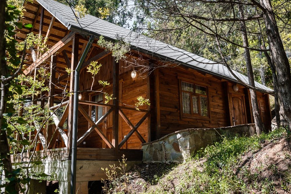 УСАДЬБА ГОЛУБОЙ ЗАЛИВ (Симеиз) - 101