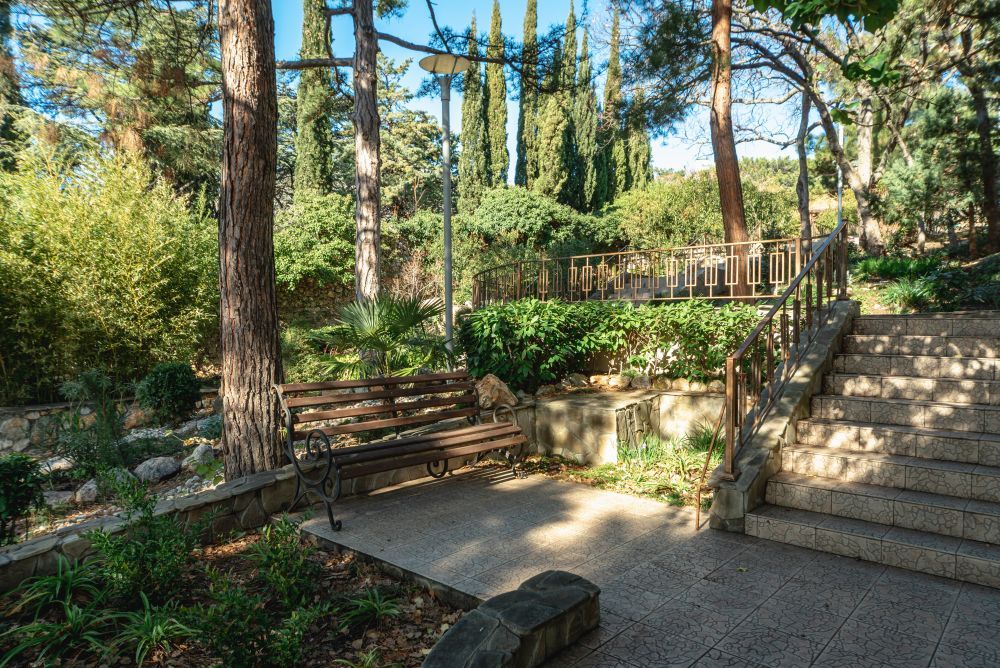 СОСНОВАЯ РОЩА, санаторий - 17