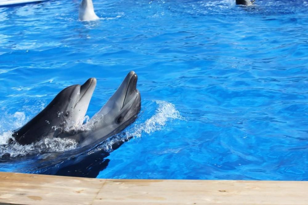 AQUAMARINE RESORT & SPA, курортный комплекс - 20