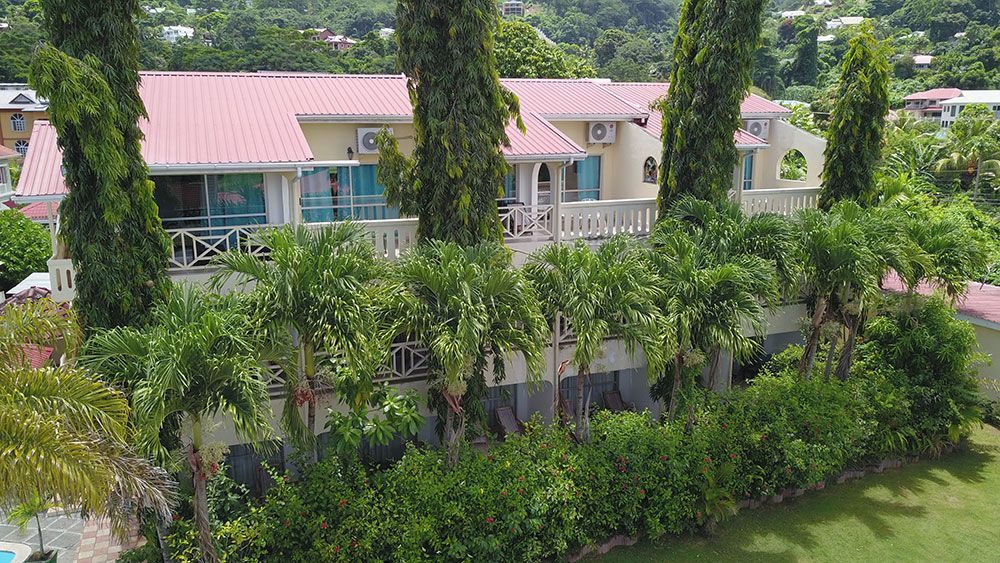 COCO DOR - 2