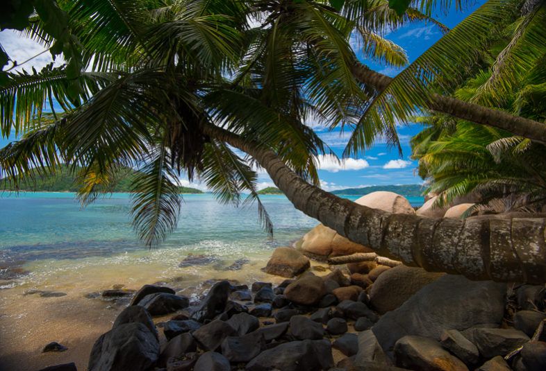 COLIBRI PRASLIN SEYCHELLES - 6