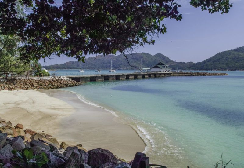 COLIBRI PRASLIN SEYCHELLES - 5