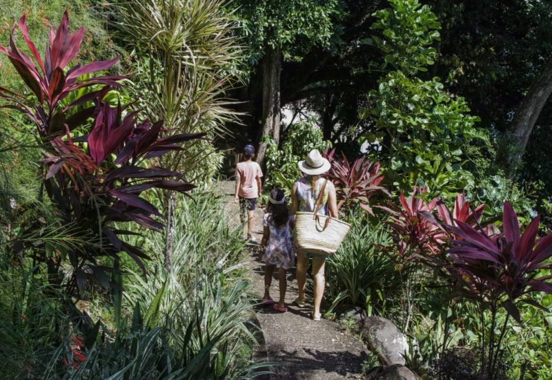 COLIBRI PRASLIN SEYCHELLES - 16