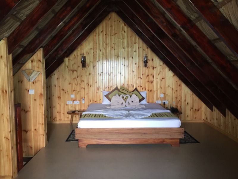 COLIBRI PRASLIN SEYCHELLES - 28