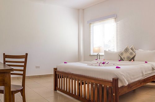 TROPICAL HIDEAWAY SELF CATERING - 15