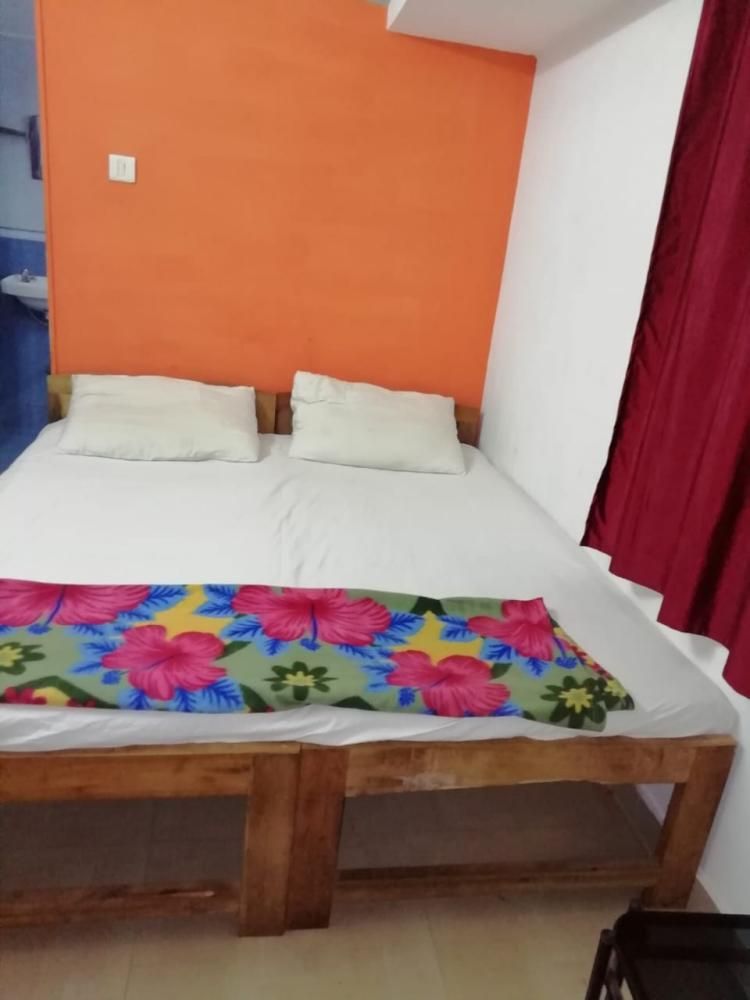 OM GANESH GUESTHOUSE (ex. LUSTRIO) - 3