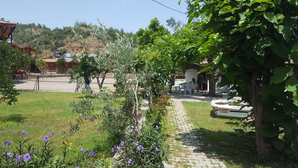Oranj Ranch Hotel - 6