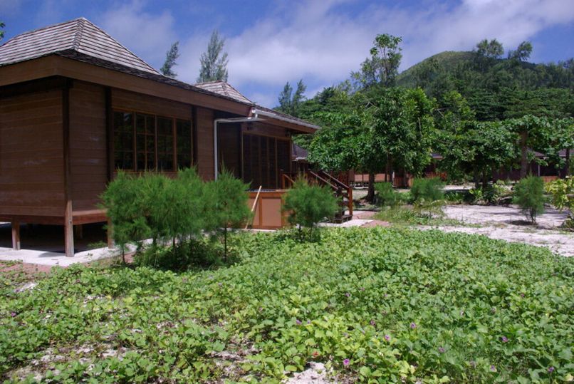 HELICONIA GROVE - 3