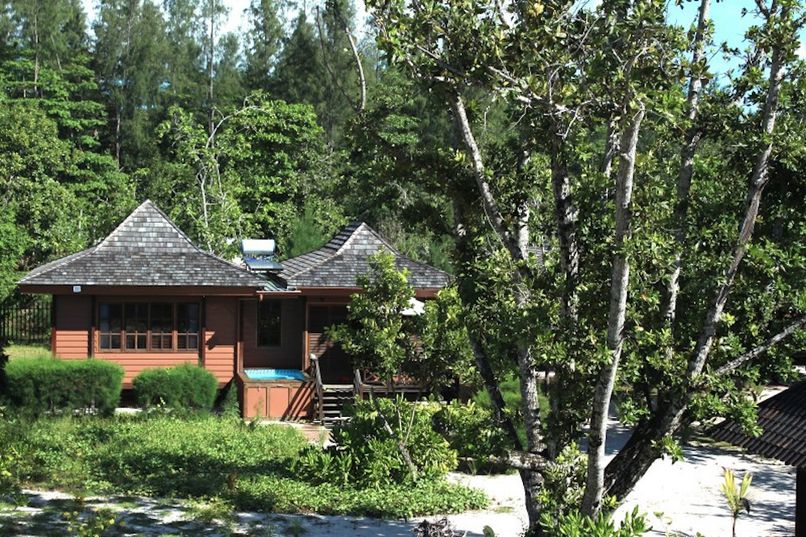 HELICONIA GROVE - 1
