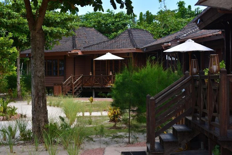 HELICONIA GROVE - 2