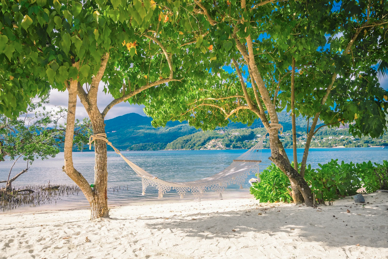 PINEAPPLE BEACH VILLAS (only adult 10+) - 3