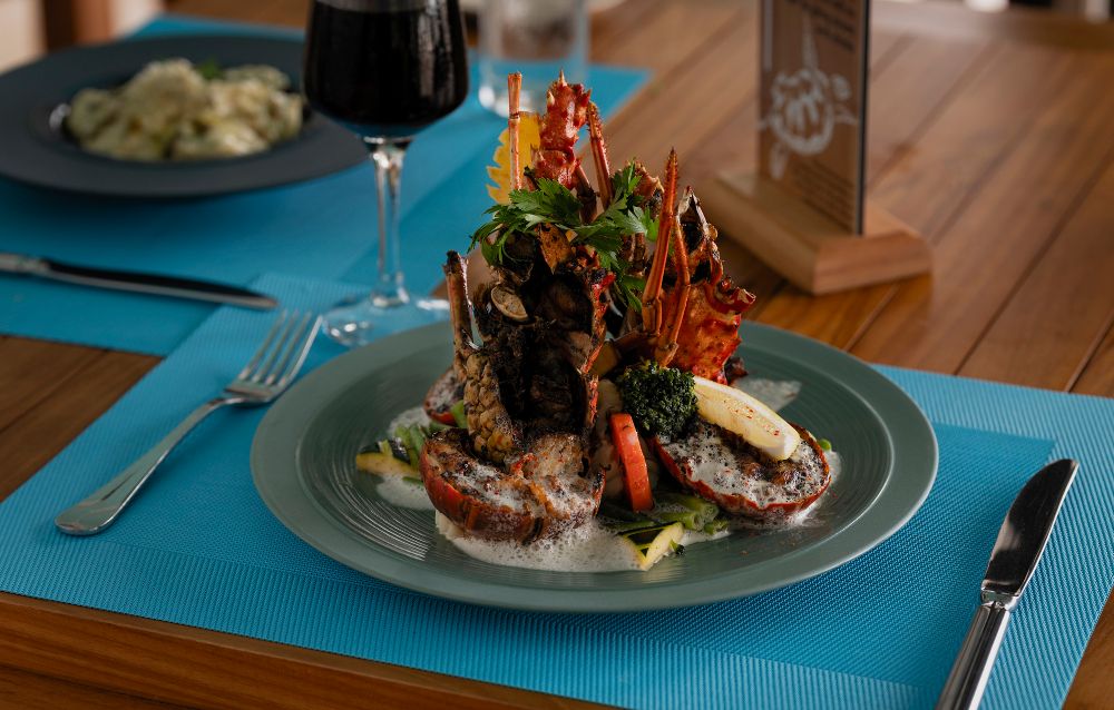 L ARCHIPEL (child only 3+) - 17