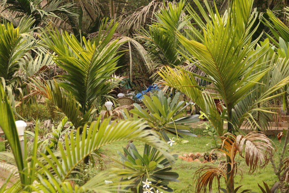 LAVISH EXOTIC HOTEL & APARTMENTS (ex. LAVISH COTTAGES) - 10