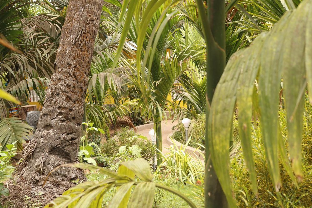 LAVISH EXOTIC HOTEL & APARTMENTS (ex. LAVISH COTTAGES) - 7