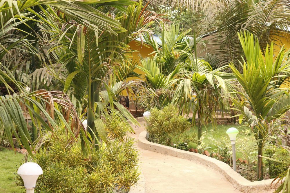 LAVISH EXOTIC HOTEL & APARTMENTS (ex. LAVISH COTTAGES) - 6