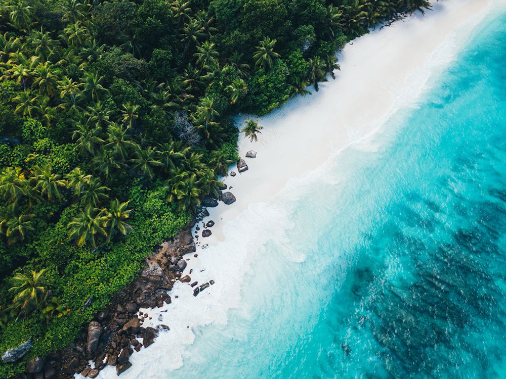 NORTH ISLAND - SEYCHELLES - 7