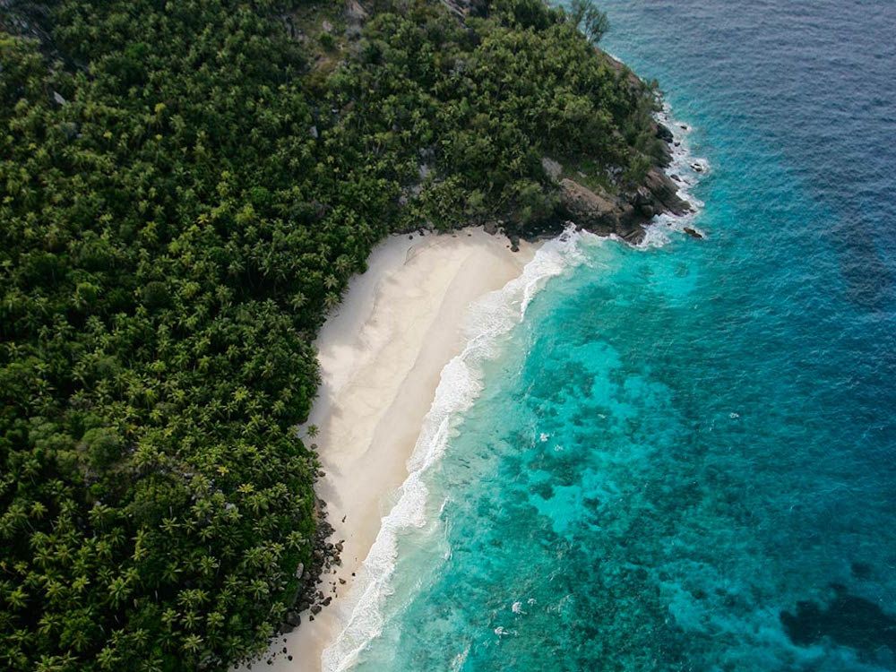 NORTH ISLAND - SEYCHELLES - 8