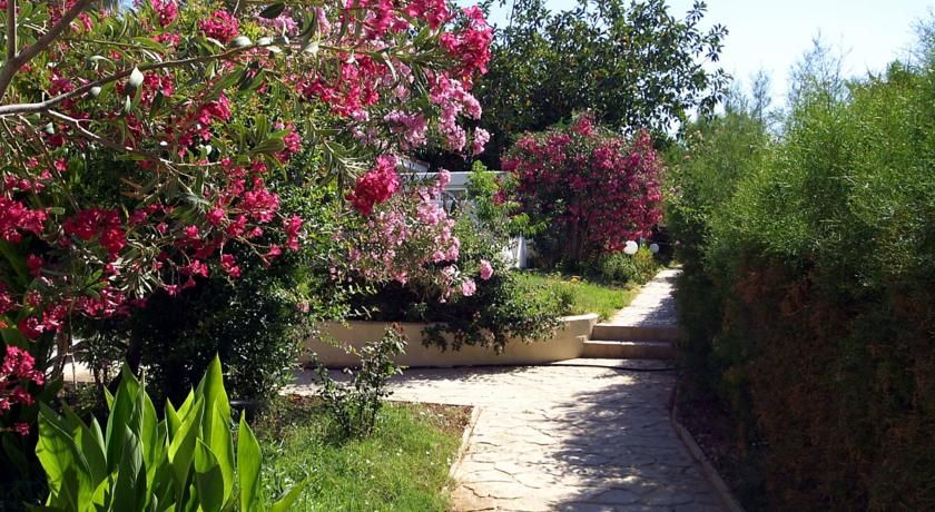 Картинка отеля - 9