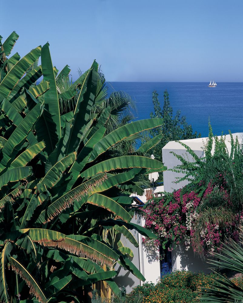 AZIA RESORT & SPA - 5