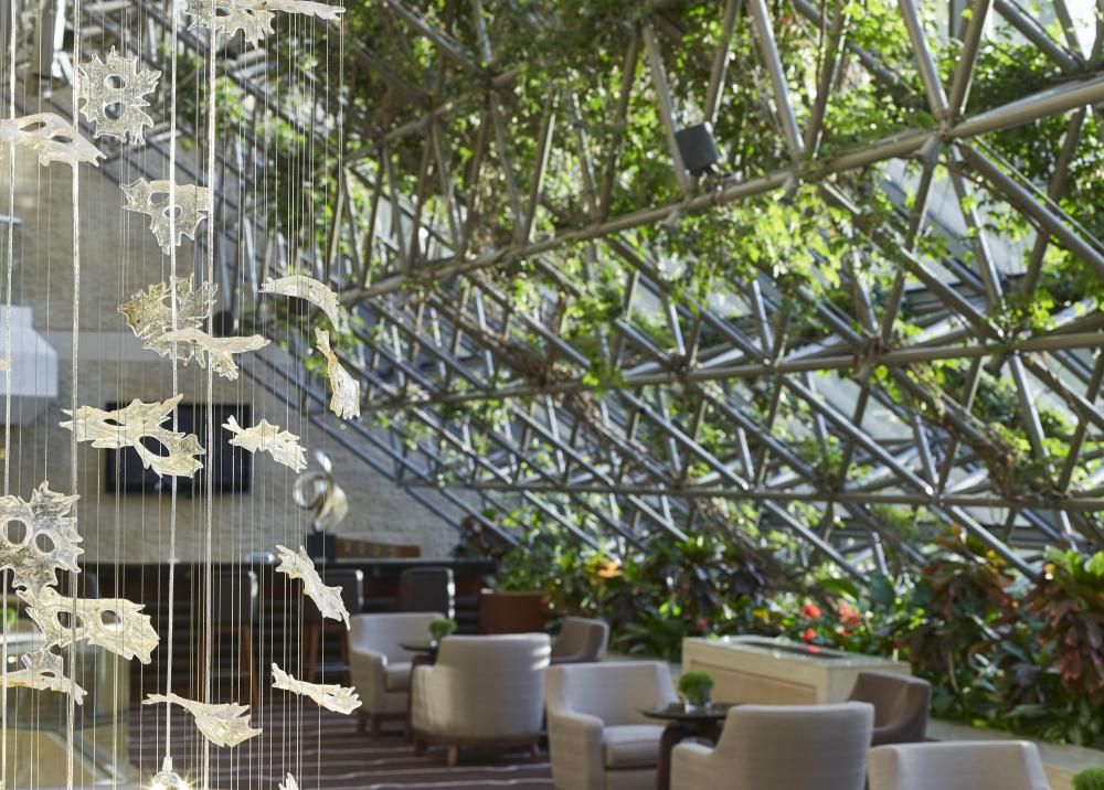 Картинка отеля - 5