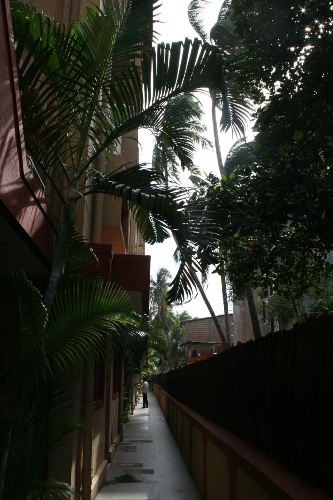 SOMY PLAZA (ex. SO MY RESORT) - 3