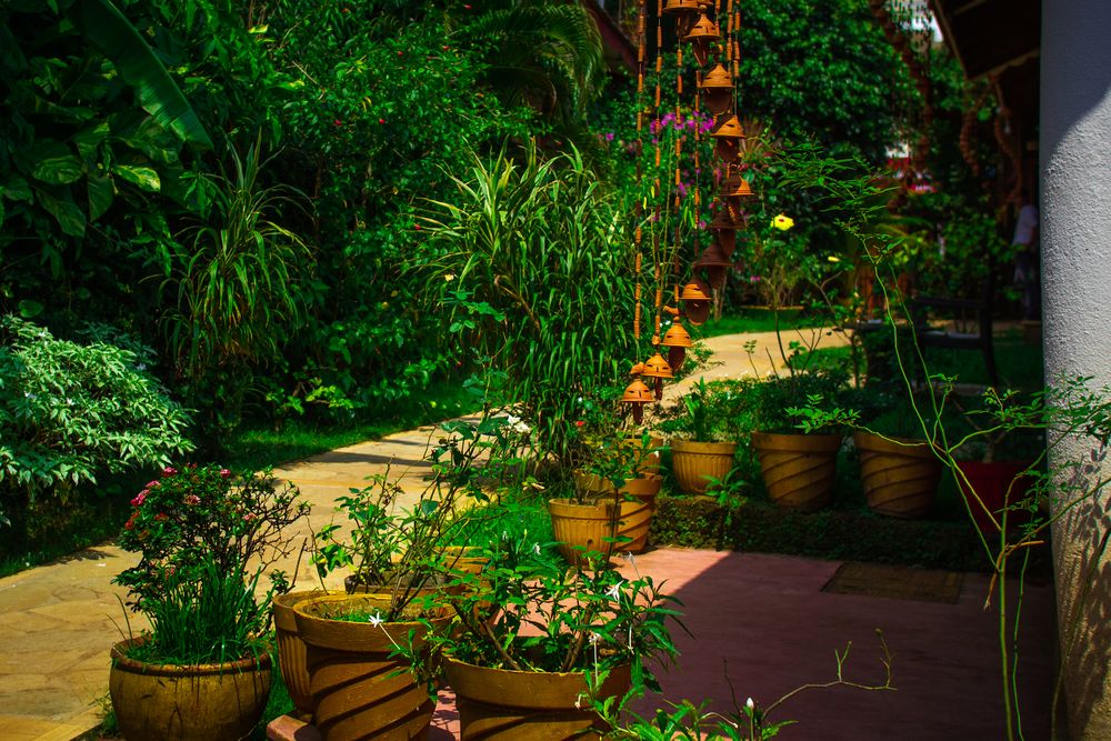 PAPA JOLLYS ECO RESORT (ex. PAPA JOLLYS BOUTIQUE HOTEL) - 6