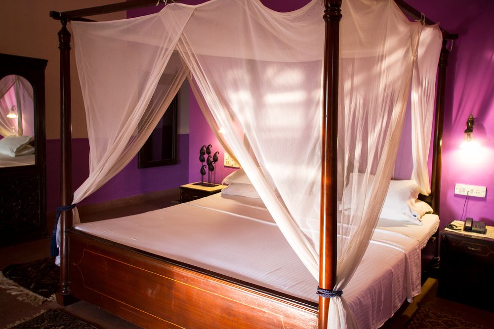 PAPA JOLLYS ECO RESORT (ex. PAPA JOLLYS BOUTIQUE HOTEL) - 76