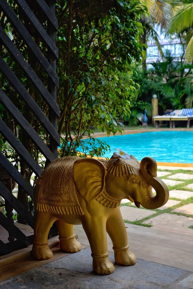 PAPA JOLLYS ECO RESORT (ex. PAPA JOLLYS BOUTIQUE HOTEL) - 18