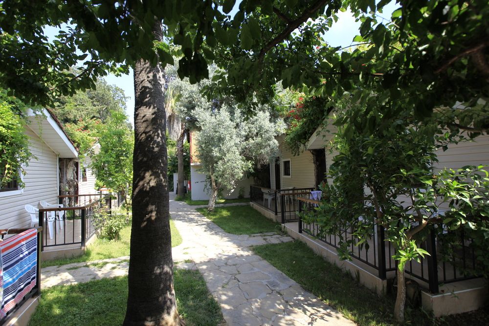 Leda Beach Hotel - 4