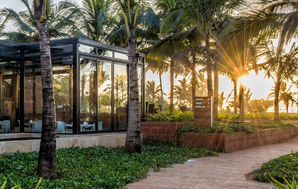 AZAYA BEACH RESORT - 5