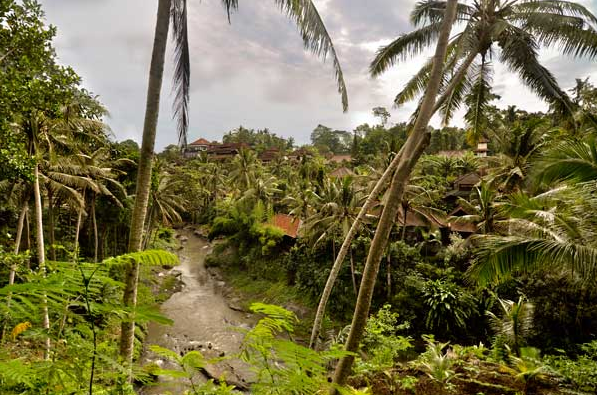 BALI SPIRIT HOTEL - 7