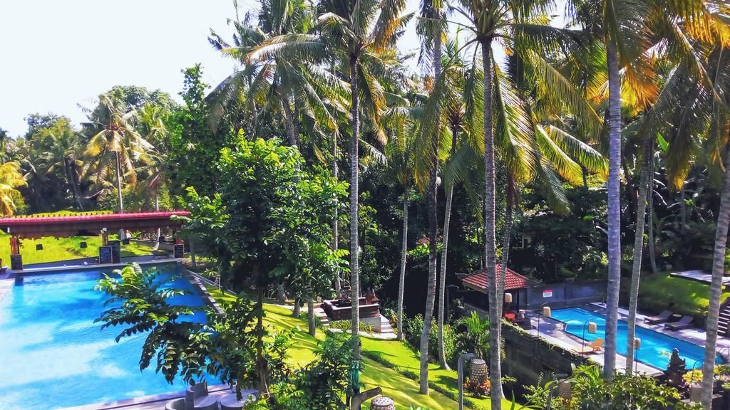 THE ARTINI DIJIWA UBUD  - 10