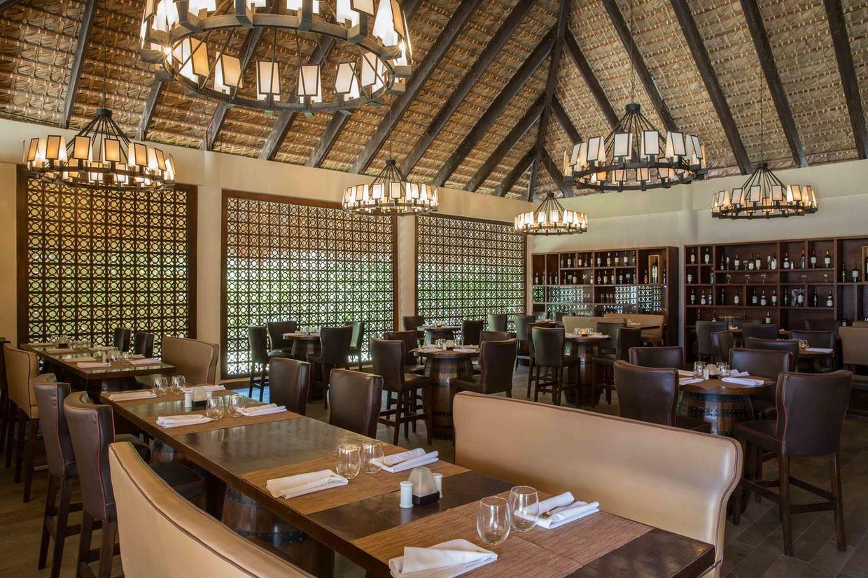 HIDEAWAY AT ROYALTON PUNTA CANA RESORT & SPA (only adults 18+) - 13