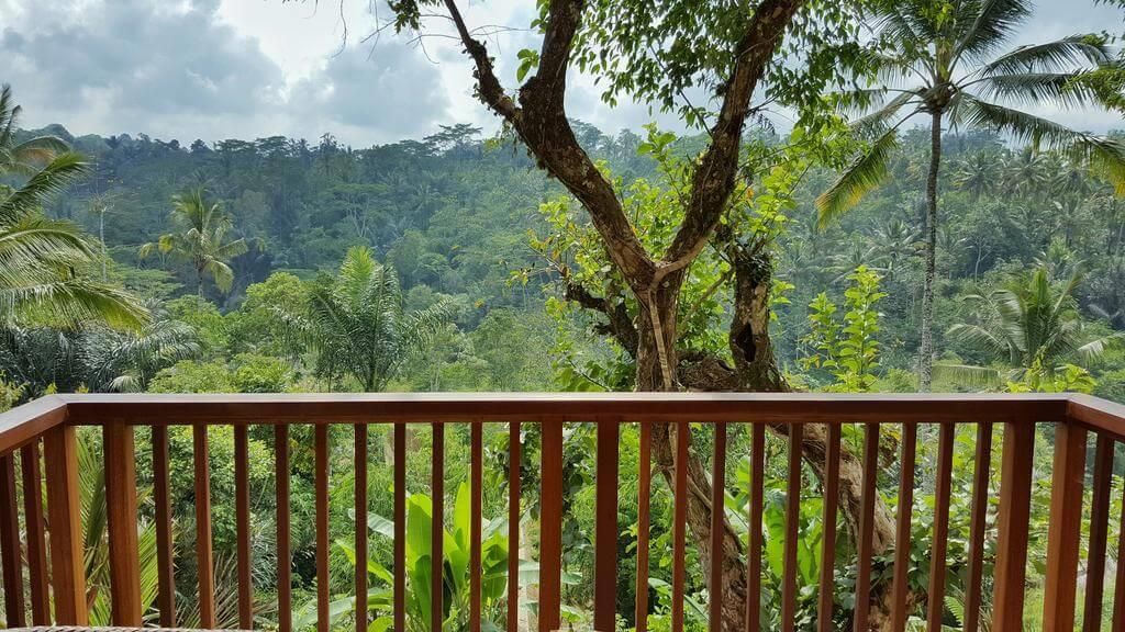 PADMA RESORT UBUD - 12