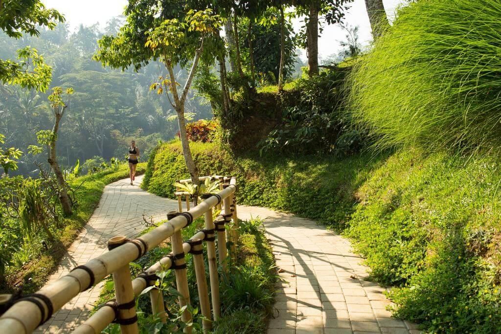 PADMA RESORT UBUD - 15