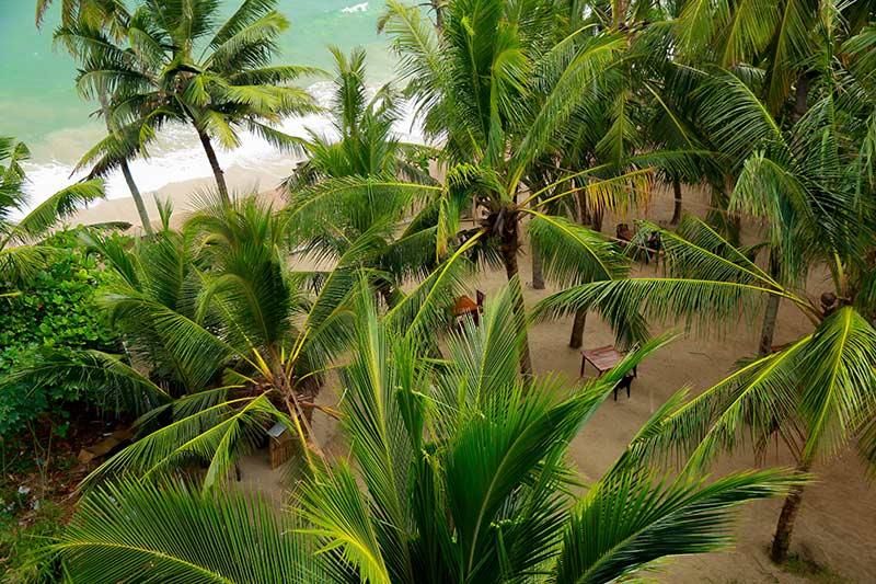 CEYLON SEA HOTEL - 29