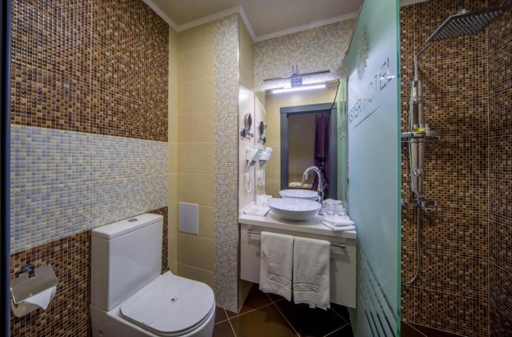 ASTER HOTEL GROUP - 11