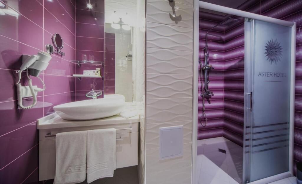 ASTER HOTEL GROUP - 13