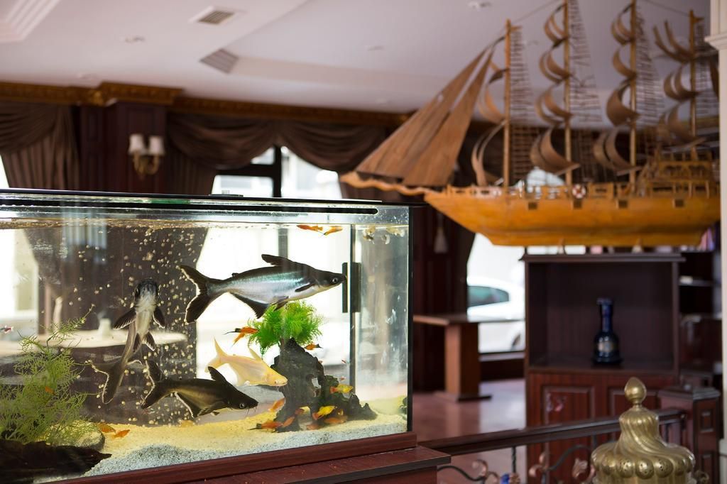 Buyuk Hamit Hotel - 19