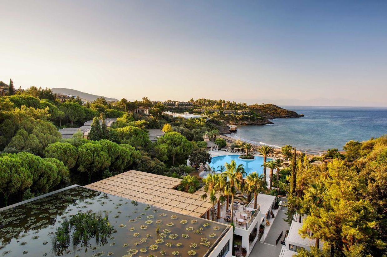 Club Marvy by Paloma - 1