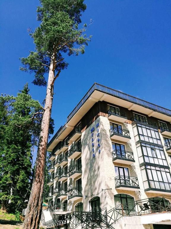 BM PLAZA BAKURIANI - 1