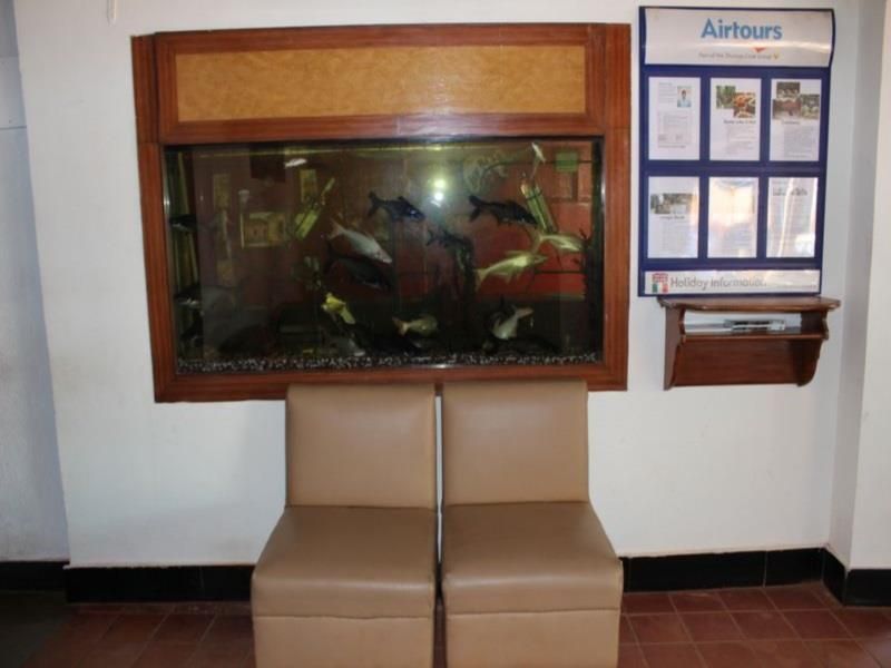 OLIVE CALANGUTE MIIRA - 13