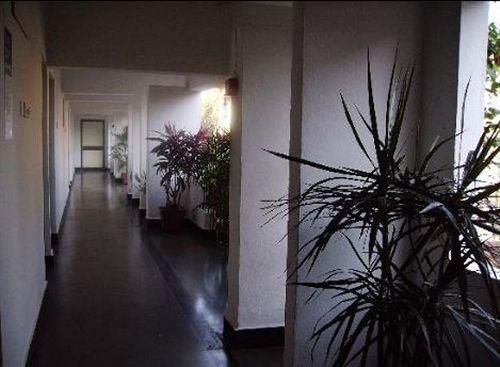 OLIVE CALANGUTE MIIRA - 14