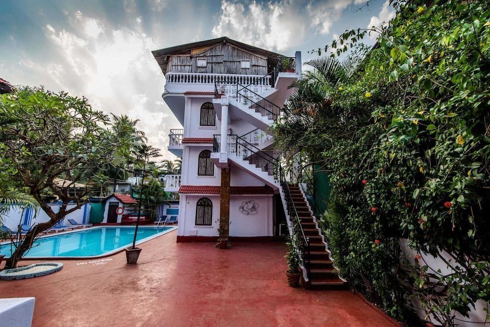 OLIVE CALANGUTE MIIRA - 19